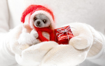Картинка праздничные мягкие+игрушки winter cute toy dog hands santa gift xmas christmas зима игрушка варежки руки