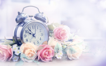 обоя разное, Часы,  часовые механизмы, цветы, розы, лепестки, часы