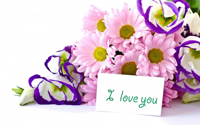 Обои картинки фото цветы, букеты,  композиции, эустома, хризантемы, букет, i, love, you