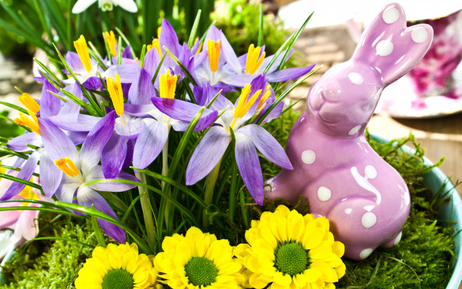 Обои картинки фото цветы, разные вместе, желтые, крокусы, фиолетовые, кролик, статуэтка, весна, праздники, пасха
