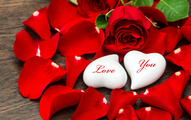 Обои картинки фото праздничные, день святого валентина,  сердечки,  любовь, цветы, розы, любовь, лепестки, valentine's, day