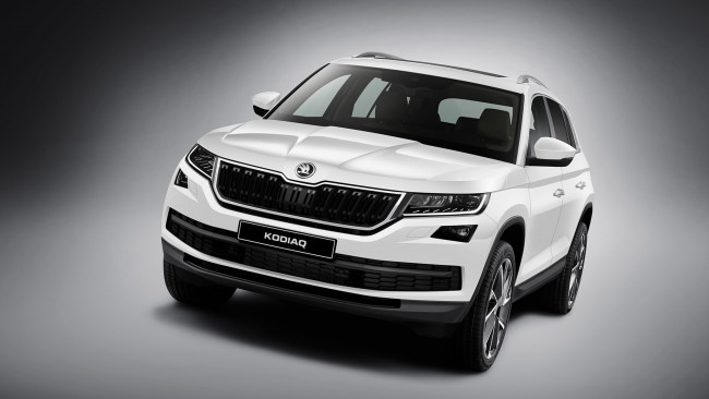 Обои картинки фото skoda kodiaq 2017, автомобили, skoda, kodiaq, 2017, внедорожник