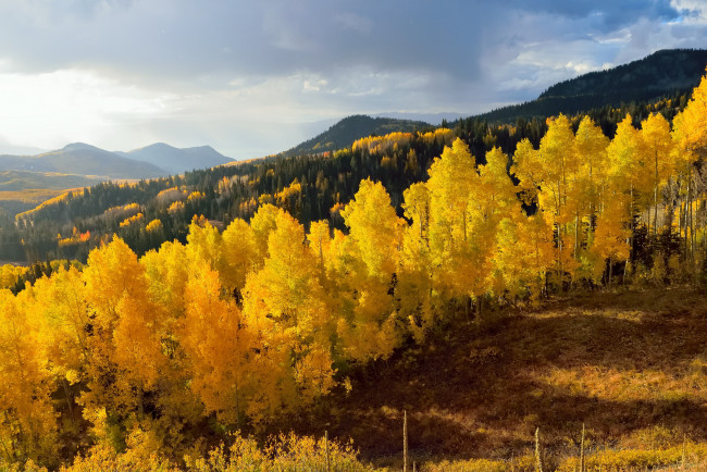 Обои картинки фото природа, пейзажи, осень, деревья, горы