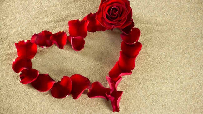 Обои картинки фото праздничные, день святого валентина,  сердечки,  любовь, лепестки, роза, песок