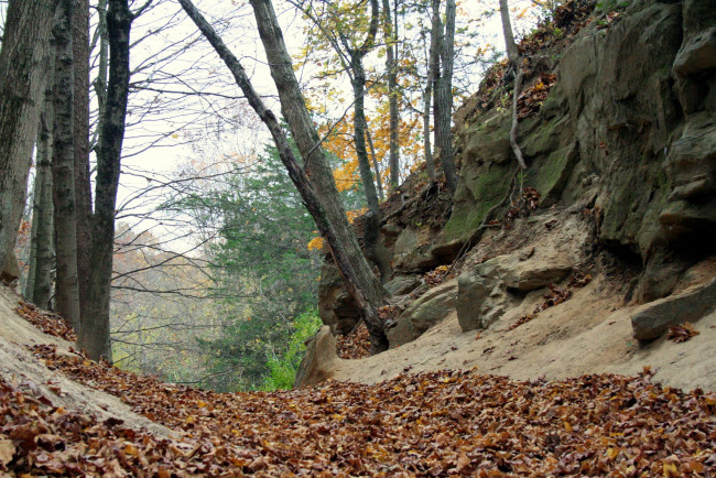 Обои картинки фото природа, дороги, листья, деревья, тропа, скала, осень