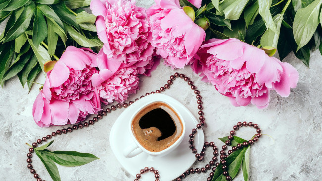 Обои картинки фото еда, кофе,  кофейные зёрна, хризантемы, кексы