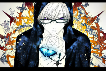Картинка аниме *unknown другое крест капюшон очки парень цветок бабочки