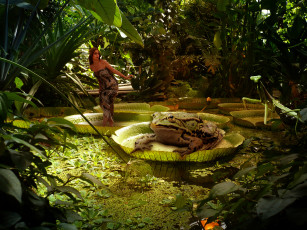 Картинка фэнтези фотоарт большая лягушка девушка озеро