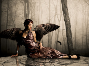 Картинка фэнтези фотоарт лес крылья девушка перья