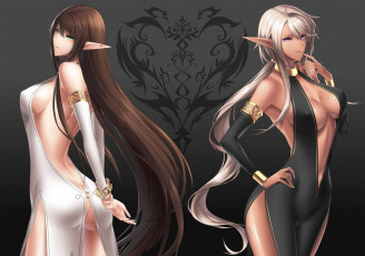 Картинка pixiv+fantasia +sword+regalia аниме наряд девушки эльфийки