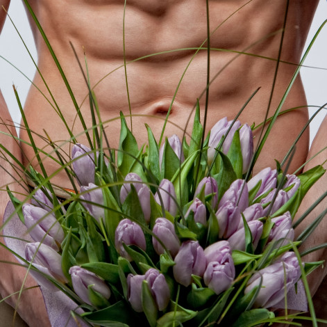 Обои картинки фото цветы, тюльпаны, торс
