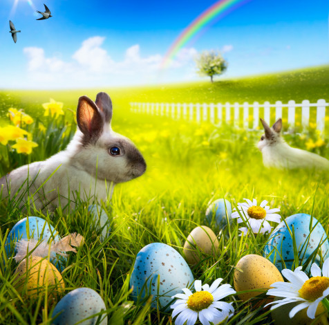 Обои картинки фото животные, кролики,  зайцы, кролик, яички, цветы, весна
