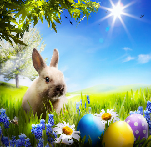 Обои картинки фото животные, кролики,  зайцы, кролик, яички, цветы, весна