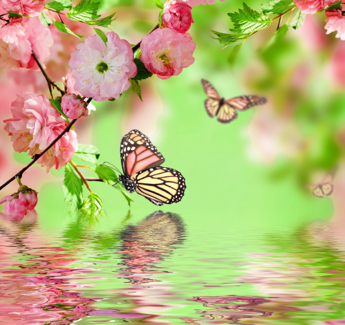 Обои картинки фото разное, компьютерный дизайн, бабочки, цветы, вода