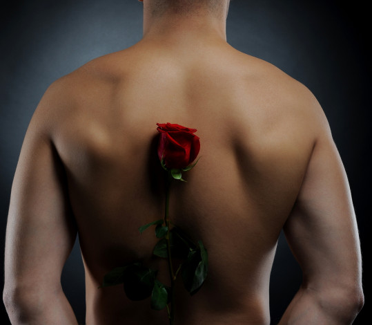 Обои картинки фото мужчины, - unsort, спина, цветок, роза