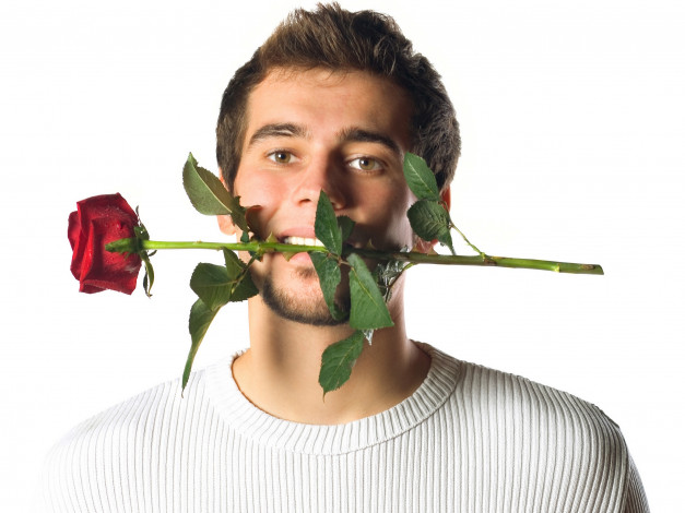 Обои картинки фото мужчины, - unsort, борода, цветок, роза, парень