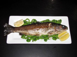 Картинка еда рыба +морепродукты +суши +роллы рыбка