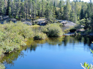 Картинка природа реки озера река вода деревья кусты