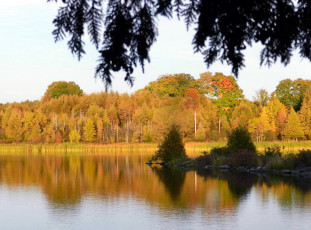 Картинка природа реки озера деревья осень