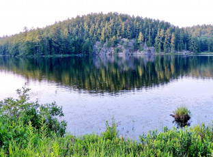 Картинка природа реки озера река отражение лето