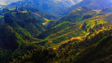Картинка природа пейзажи плантации поля леса sapa горы вьетнам