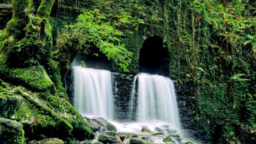Картинка природа водопады зелень мох вода