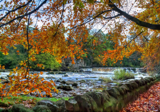 Обои картинки фото природа, реки, озера, река, водопад, листопад, деревья, осень