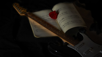 обоя музыка, -музыкальные инструменты, ноты, роза, гитара, черный, фон