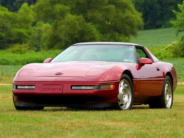 Обои картинки фото corvette, c4, 1983, 96, автомобили