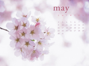 обоя календари, цветы