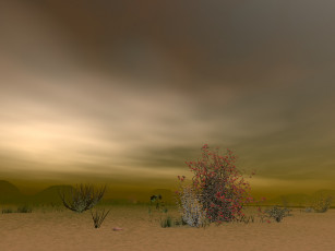 Картинка 3д графика nature landscape природа кустарники песок