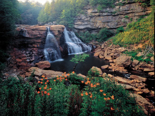 обоя природа, водопады, ricketts, glen, state, park, pennsylvania