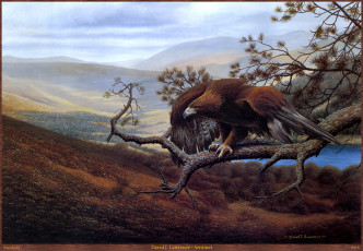 Картинка david lawrence sentinel рисованные птица орёл j пейзаж ветка