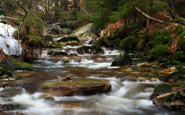 Картинка природа реки озера камни поток
