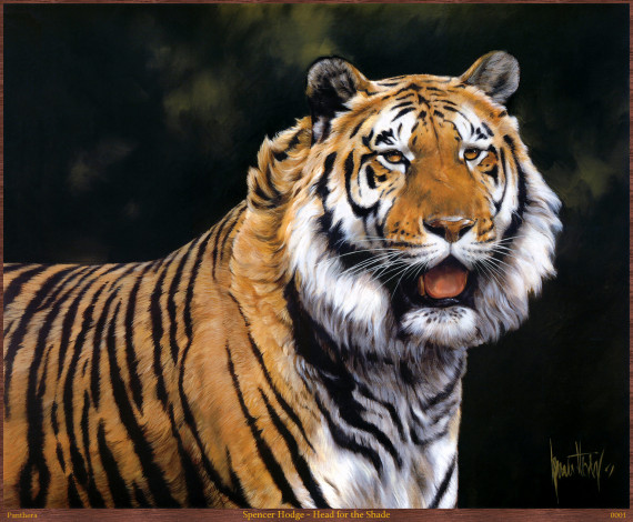Обои картинки фото spencer, hodge, head, for, the, shade, рисованные, тигр