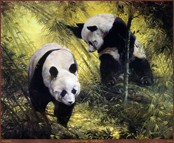 Обои картинки фото spencer, hodge, panda, pair, рисованные, парочка, панды, лес, бамбук