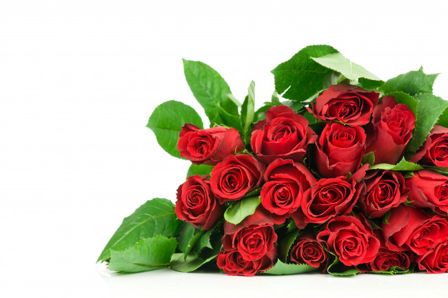 Обои картинки фото цветы, розы, я, тебя, люблю