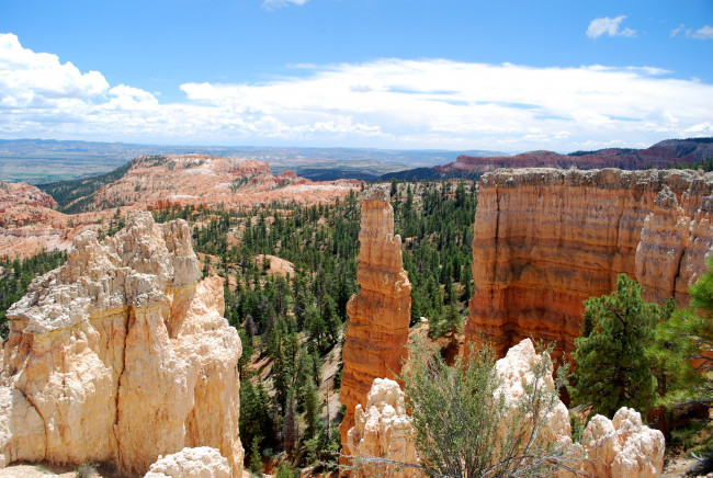 Обои картинки фото природа, горы, bryce, canyon, national, park, usa, utah