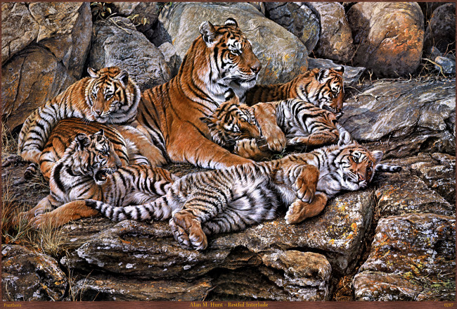 Обои картинки фото alan, hunt, restful, interlude, рисованные, камни, тигрята, тигрица, m