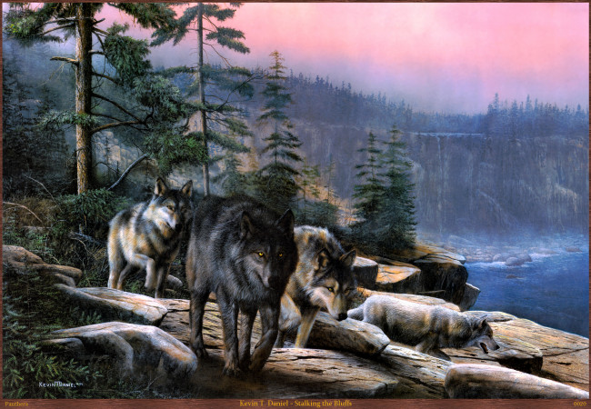 Обои картинки фото kevin, daniel, stalking, the, bluffs, рисованные, река, обрыв, камни, лес, деревья, стая, волки, t