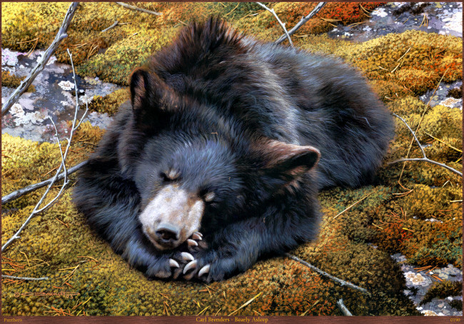 Обои картинки фото carl, brenders, bearly, asleep, рисованные, мох, сон, медведь