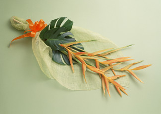 Картинка цветы стрелиция райская птица лепестки