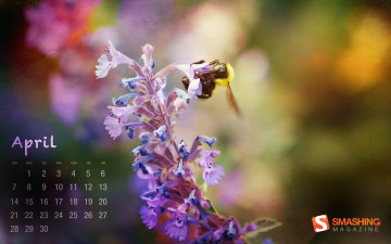 обоя календари, цветы, цветок, пчела