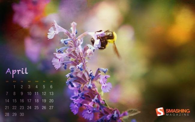 Обои картинки фото календари, цветы, цветок, пчела