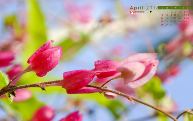 Обои картинки фото календари, цветы, ветки, розовый