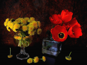 Картинка цветы разные+вместе тюльпаны одуванчики