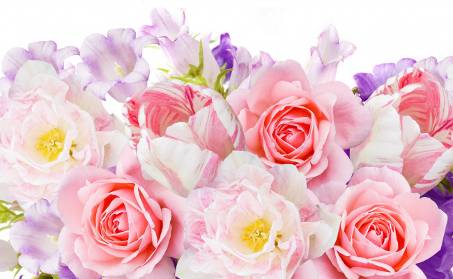Обои картинки фото цветы, разные вместе, пионы, розы