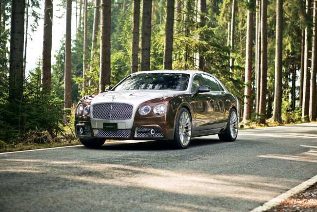 Обои картинки фото автомобили, bentley, mansory