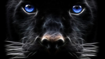 Картинка 3д+графика животные+ animals голова морда пантера усы зверь хищник