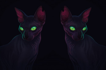 Картинка рисованное животные +коты сфинкс кошка уши